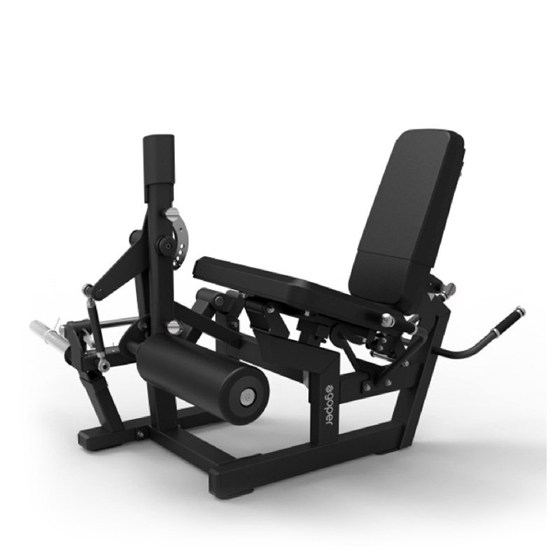 LEG EXTENSION & PRONE LEG CURL