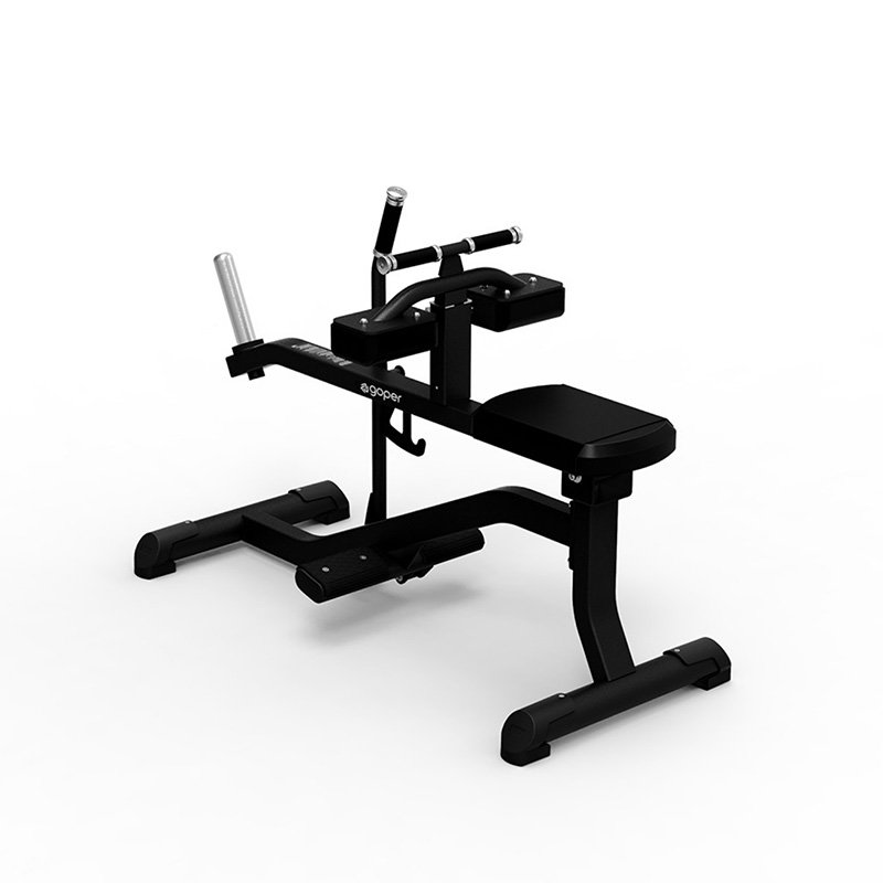 SEATED CALF MACHINE