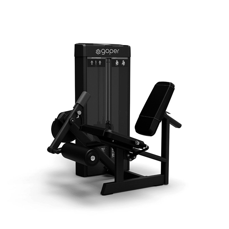 leg extension