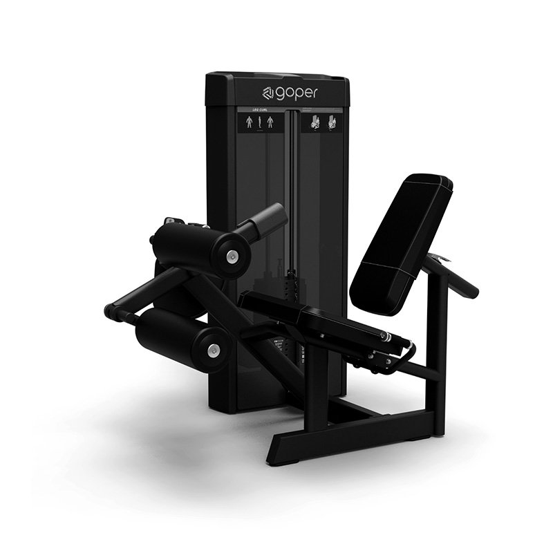 seated leg curl