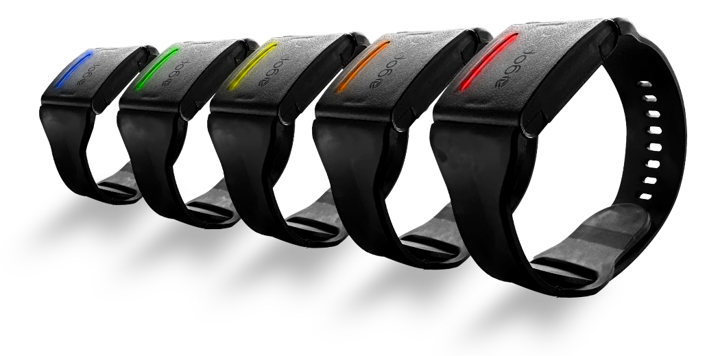 smart-band-vitrine smart band vitrine